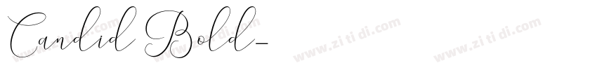 Candid Bold字体转换